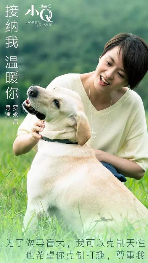 波恩大学硕士成绩单